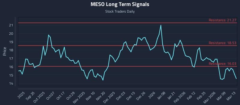 MESO Long Term Analysis for March 14 2026 MESO Long Term Analysis for March 14 2026