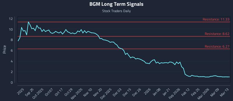 BGM Long Term Analysis for March 14 2026