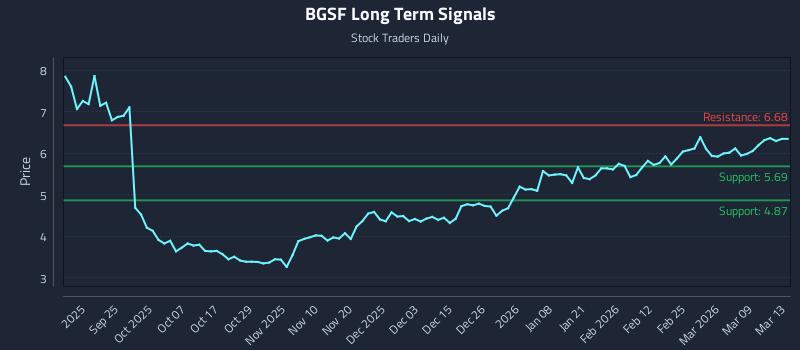 BGSF Long Term Analysis for March 14 2026
