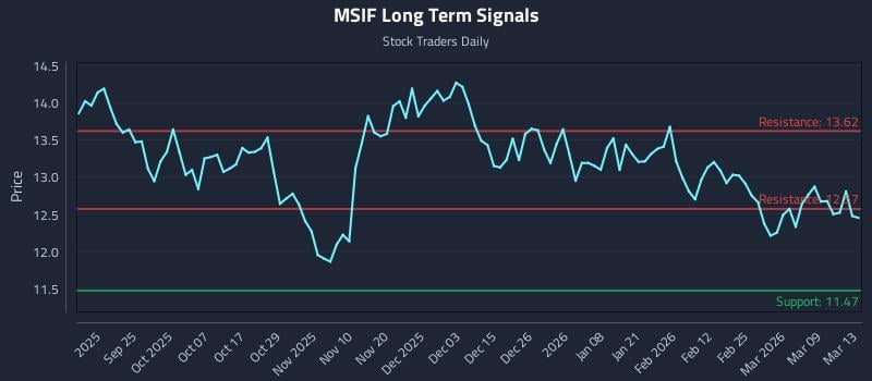 MSIF Long Term Analysis for March 15 2026
