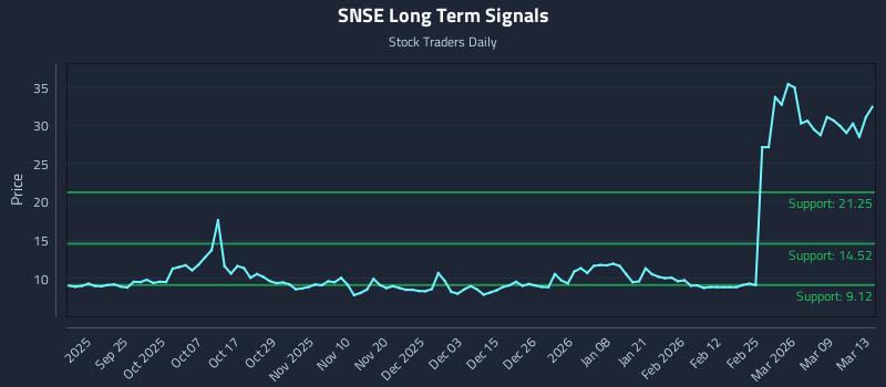 SNSE Long Term Analysis for March 15 2026