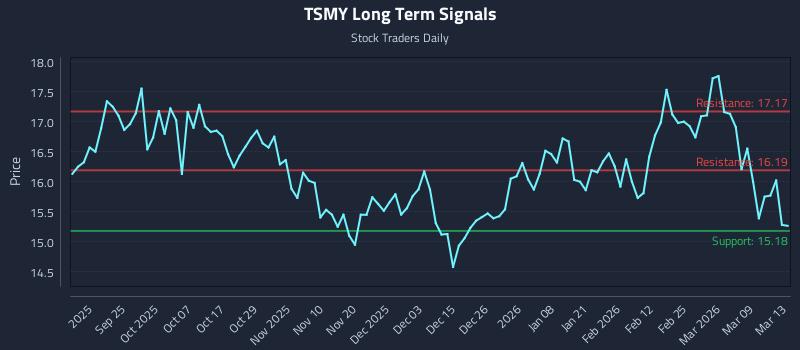 TSMY Long Term Analysis for March 15 2026