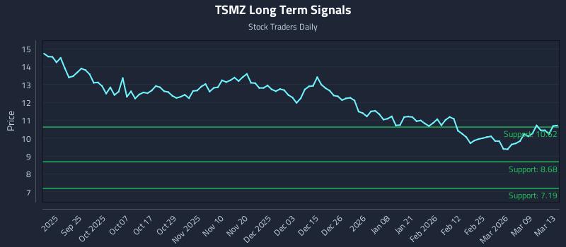 TSMZ Long Term Analysis for March 15 2026