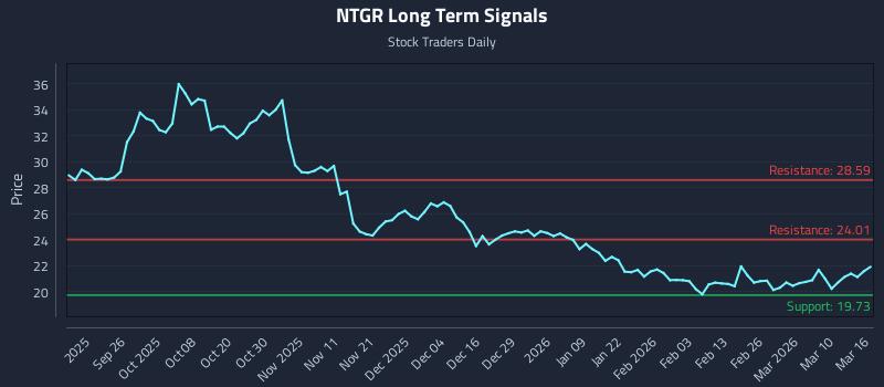 NTGR Long Term Analysis for March 16 2026