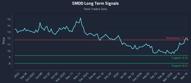 SMDD Long Term Analysis for March 16 2026