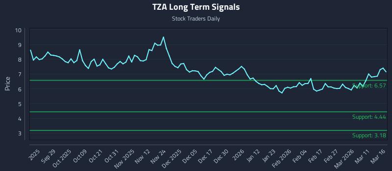 TZA Long Term Analysis for March 17 2026 TZA Long Term Analysis for March 17 2026