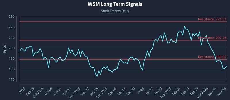 WSM Long Term Analysis for March 17 2026