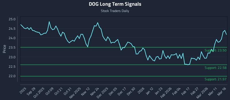 DOG Long Term Analysis for March 17 2026
