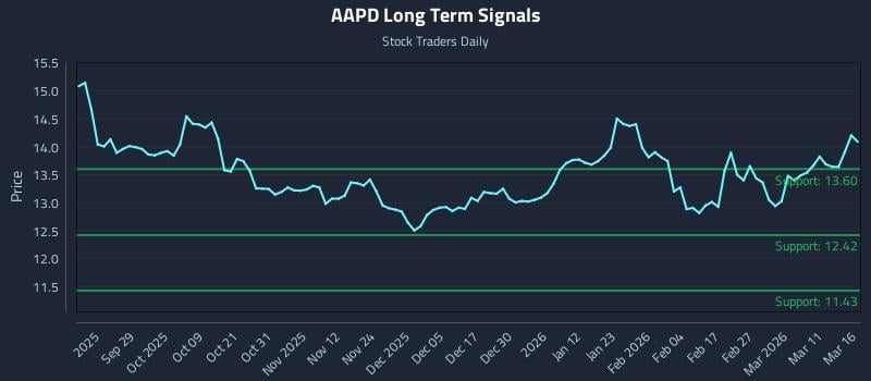 AAPD Long Term Analysis for March 17 2026