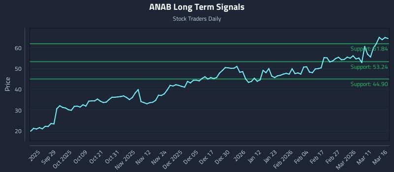 ANAB Long Term Analysis for March 17 2026