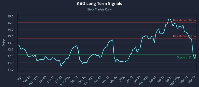 AVO Long Term Analysis for March 17 2026