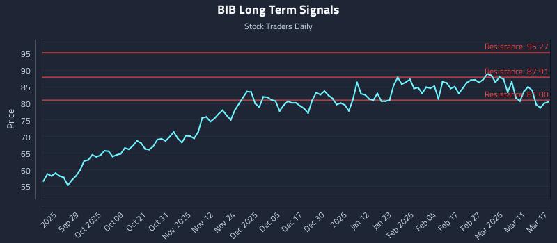 BIB Long Term Analysis for March 17 2026