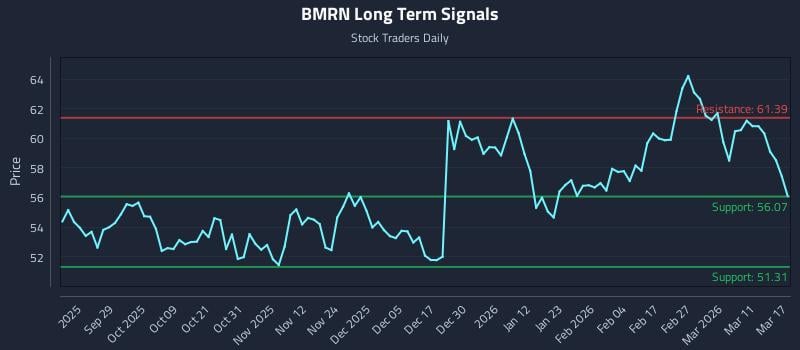 BMRN Long Term Analysis for March 17 2026