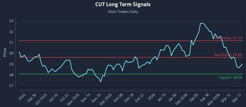 CUT Long Term Analysis for March 18 2026