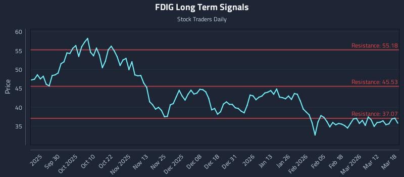 FDIG Long Term Analysis for March 18 2026