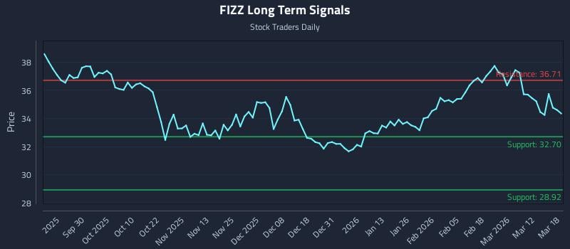 FIZZ Long Term Analysis for March 18 2026