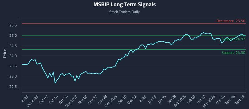 MSBIP Long Term Analysis for March 20 2026