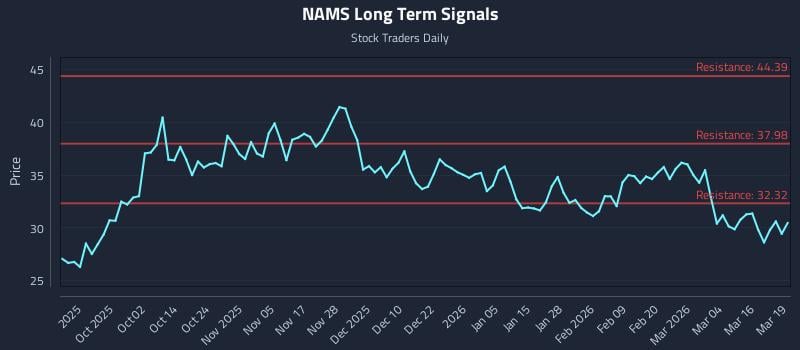 NAMS Long Term Analysis for March 20 2026