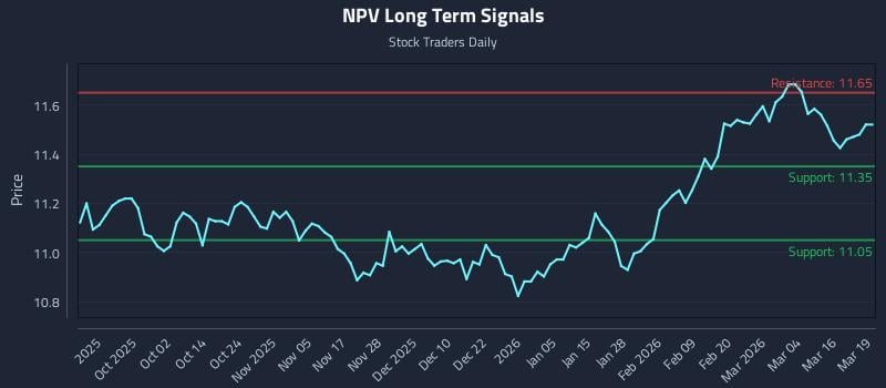 NPV Long Term Analysis for March 20 2026