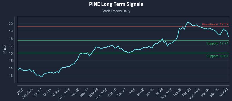 PINE Long Term Analysis for March 20 2026