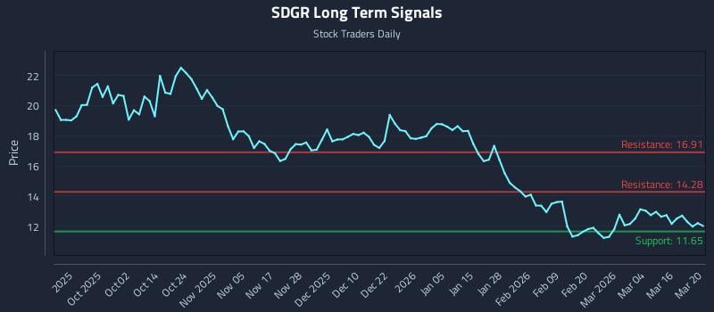 SDGR Long Term Analysis for March 21 2026