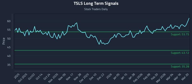 TSLS Long Term Analysis for March 21 2026