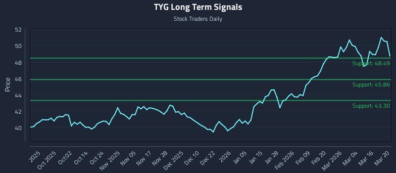 TYG Long Term Analysis for March 21 2026