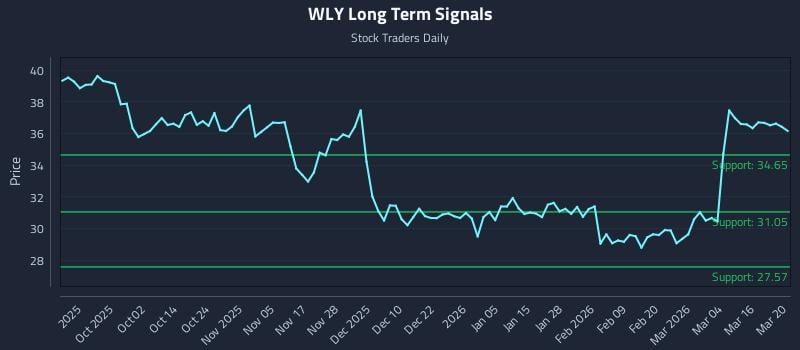 WLY Long Term Analysis for March 22 2026