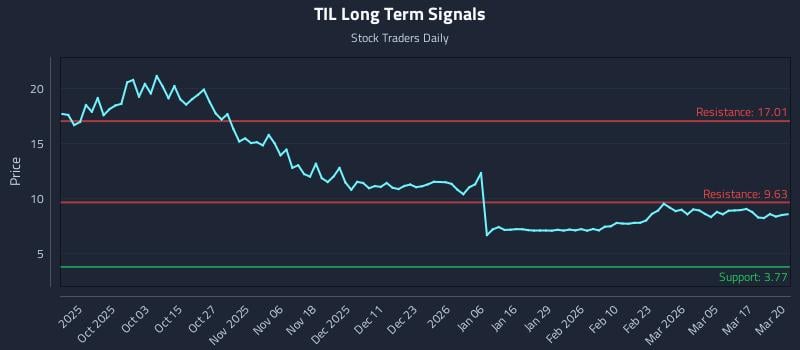TIL Long Term Analysis for March 23 2026