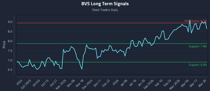 BVS Long Term Analysis for March 23 2026