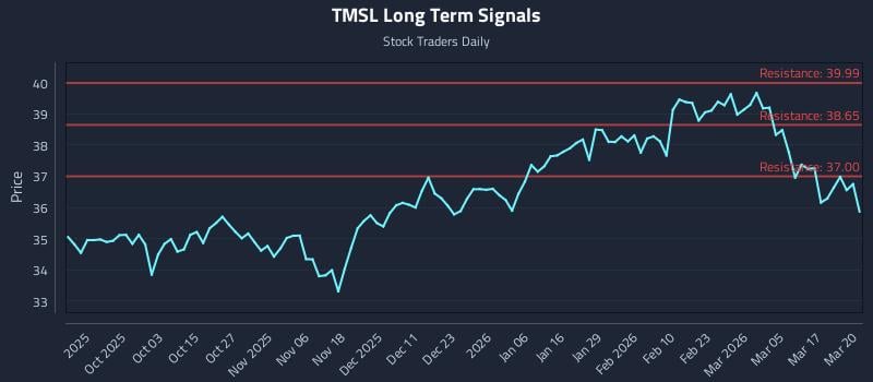 TMSL Long Term Analysis for March 23 2026