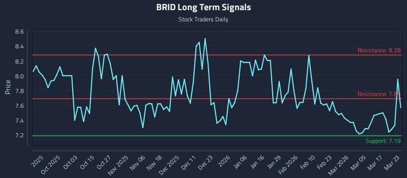 BRID Long Term Analysis for March 23 2026
