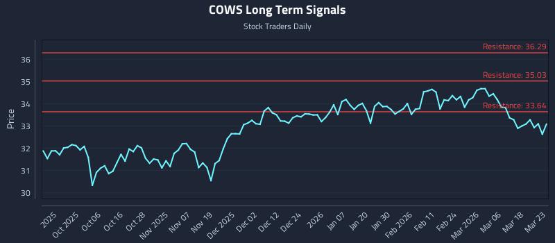 COWS Long Term Analysis for March 24 2026