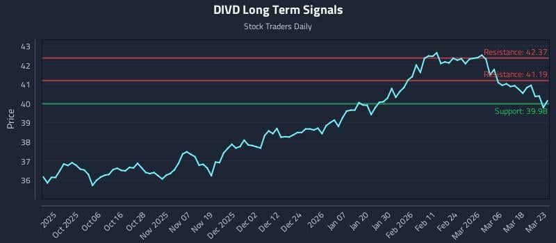 DIVD Long Term Analysis for March 24 2026