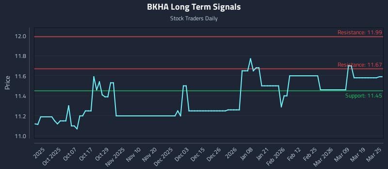 BKHA Long Term Analysis for March 25 2026