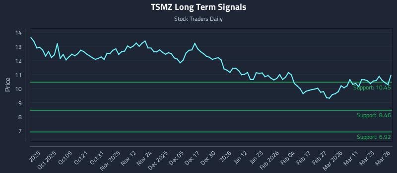 TSMZ Long Term Analysis for March 27 2026 TSMZ Long Term Analysis for March 27 2026