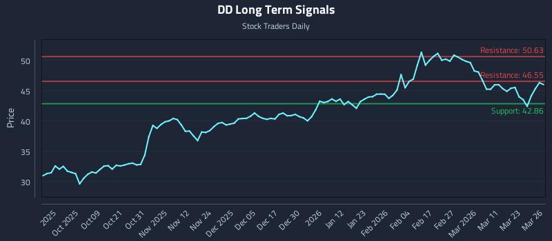DD Long Term Analysis for March 27 2026