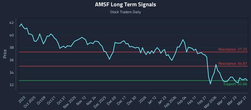 AMSF Long Term Analysis for March 28 2026