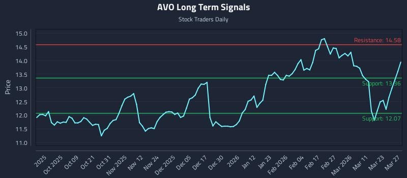 AVO Long Term Analysis for March 28 2026 AVO Long Term Analysis for March 28 2026
