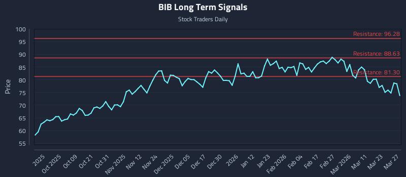 BIB Long Term Analysis for March 28 2026