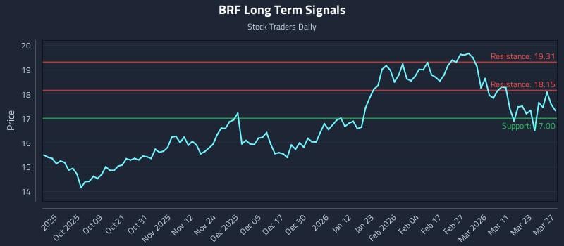BRF Long Term Analysis for March 28 2026