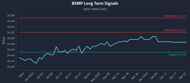 BSMP Long Term Analysis for March 28 2026