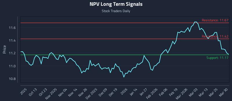 NPV Long Term Analysis for March 31 2026