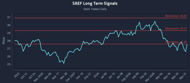 SAEF Long Term Analysis for April 1 2026