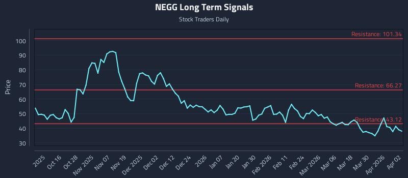 NEGG Long Term Analysis for April 6 2026
