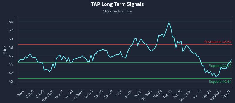 TAP Long Term Analysis for April 8 2026