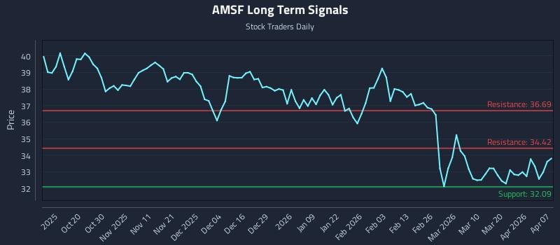 AMSF Long Term Analysis for April 8 2026 AMSF Long Term Analysis for April 8 2026