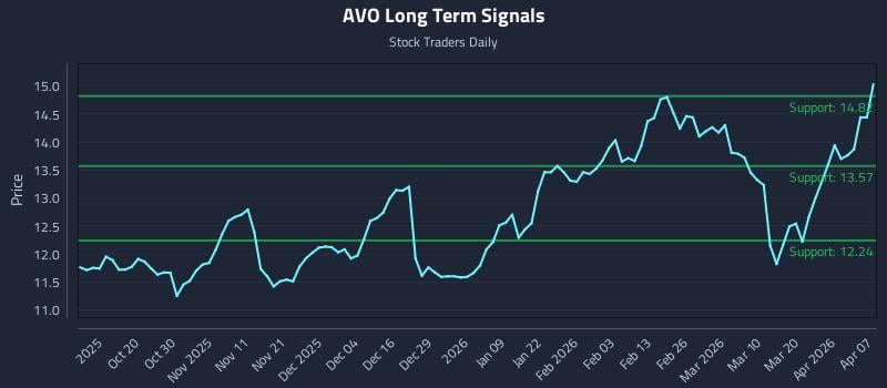 AVO Long Term Analysis for April 8 2026
