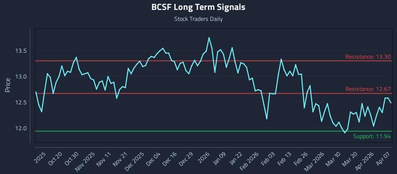 BCSF Long Term Analysis for April 8 2026 BCSF Long Term Analysis for April 8 2026