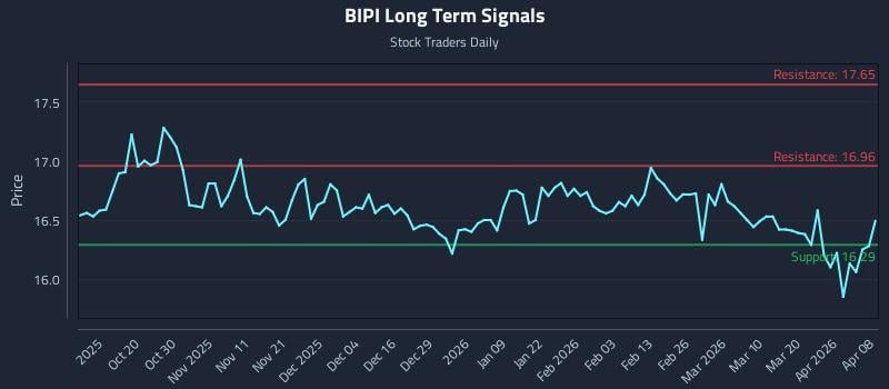 BIPI Long Term Analysis for April 8 2026